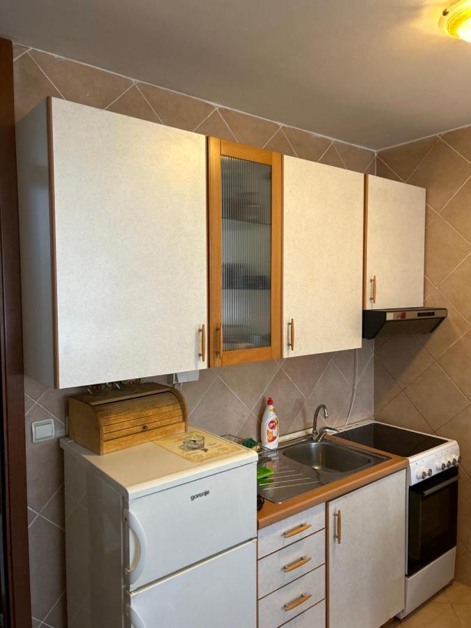 Apartment Sara 波德戈里察 外观 照片