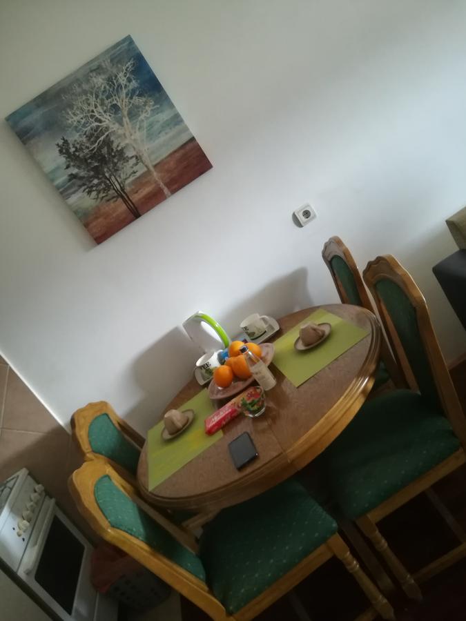 Apartment Sara 波德戈里察 外观 照片